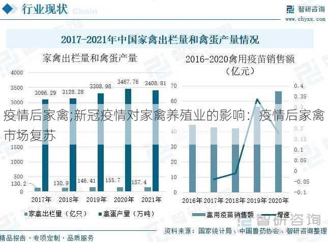 疫情后家禽;新冠疫情对家禽养殖业的影响：疫情后家禽市场复苏