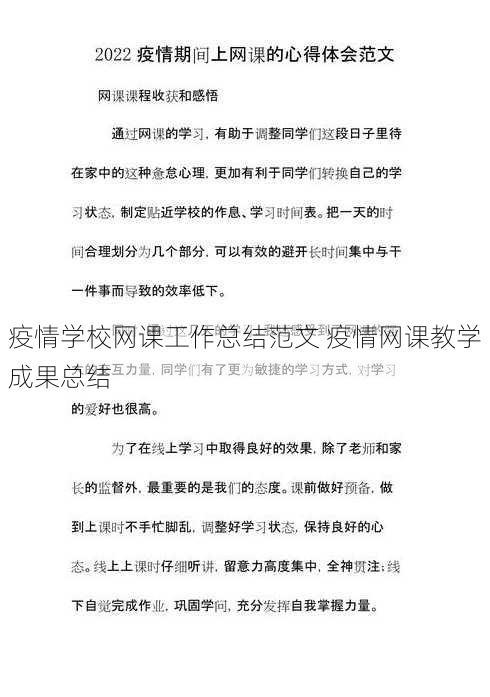 疫情学校网课工作总结范文 疫情网课教学成果总结