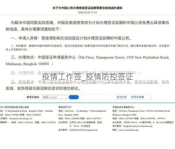 疫情工作签_疫情防控签证