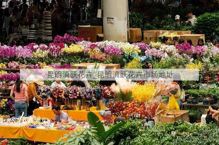 昆明滇跃花卉_昆明滇跃花卉市场地址