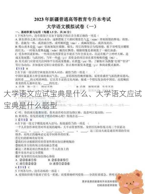 大学语文应试宝典是什么、大学语文应试宝典是什么题型