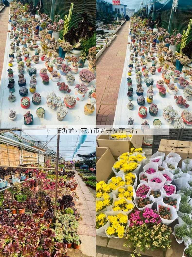 临沂孟园花卉市场开发商电话