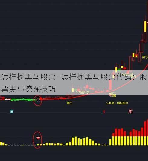 怎样找黑马股票—怎样找黑马股票代码：股票黑马挖掘技巧