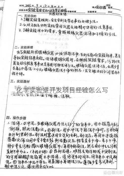 化学实验室开发项目经验怎么写