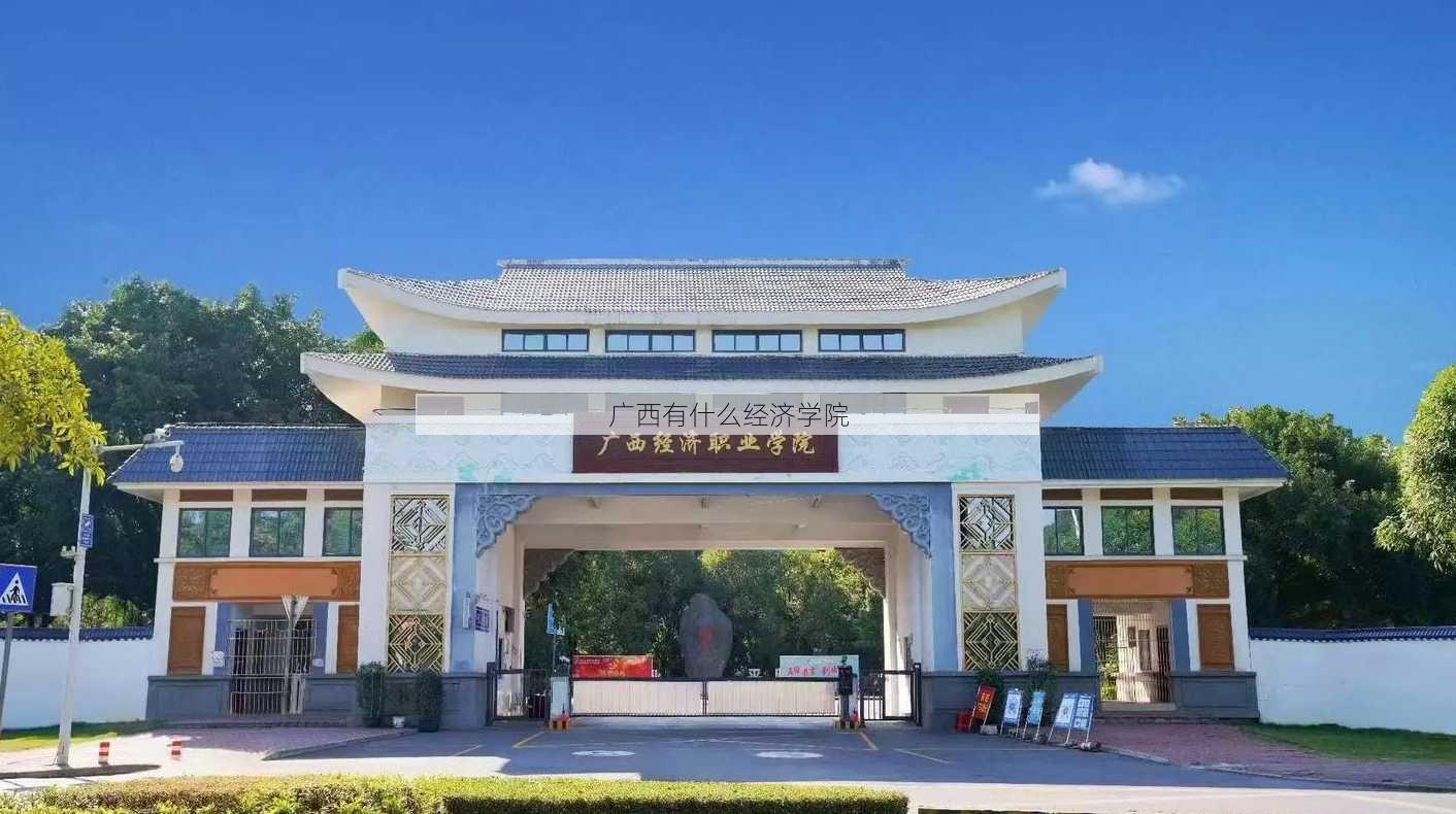 广西有什么经济学院