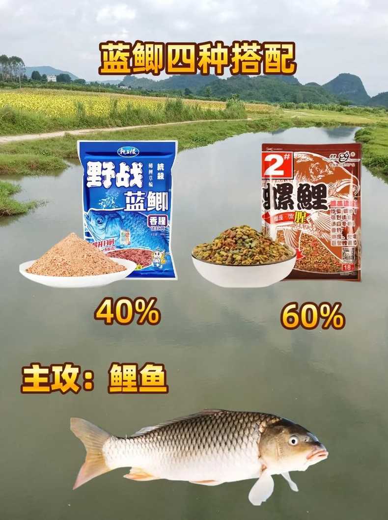 蓝鲫饵料上钩方法—蓝鲫钓鱼用什么打窝