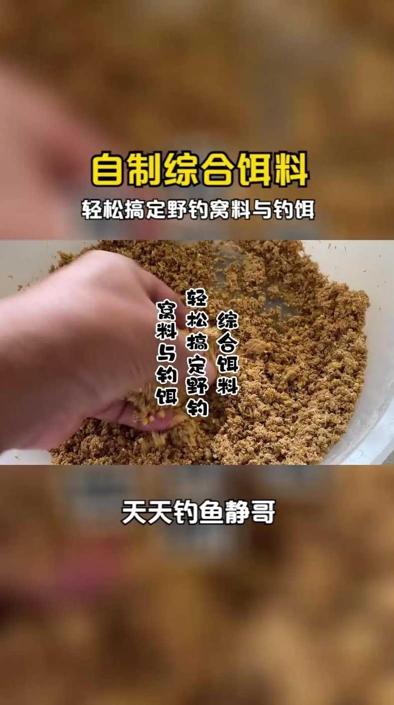 雨中钓鱼饵料选择