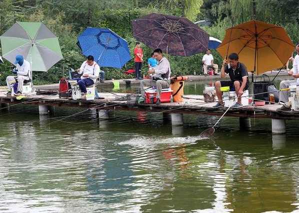 重庆合川黑坑钓场,重庆合川黑坑钓场电话号码