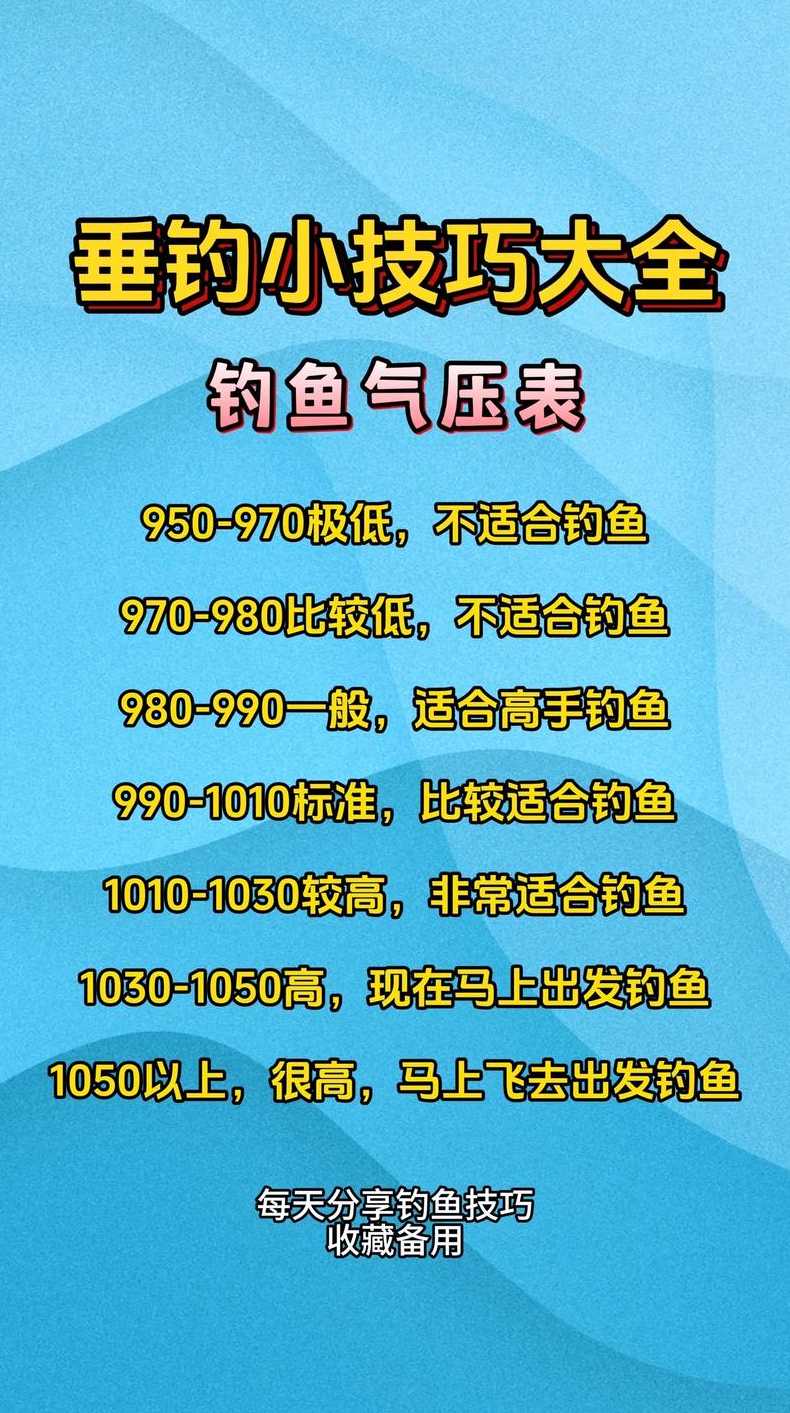 钓鱼基本功是什么意思—钓鱼基本功全套演示：钓鱼基础技能