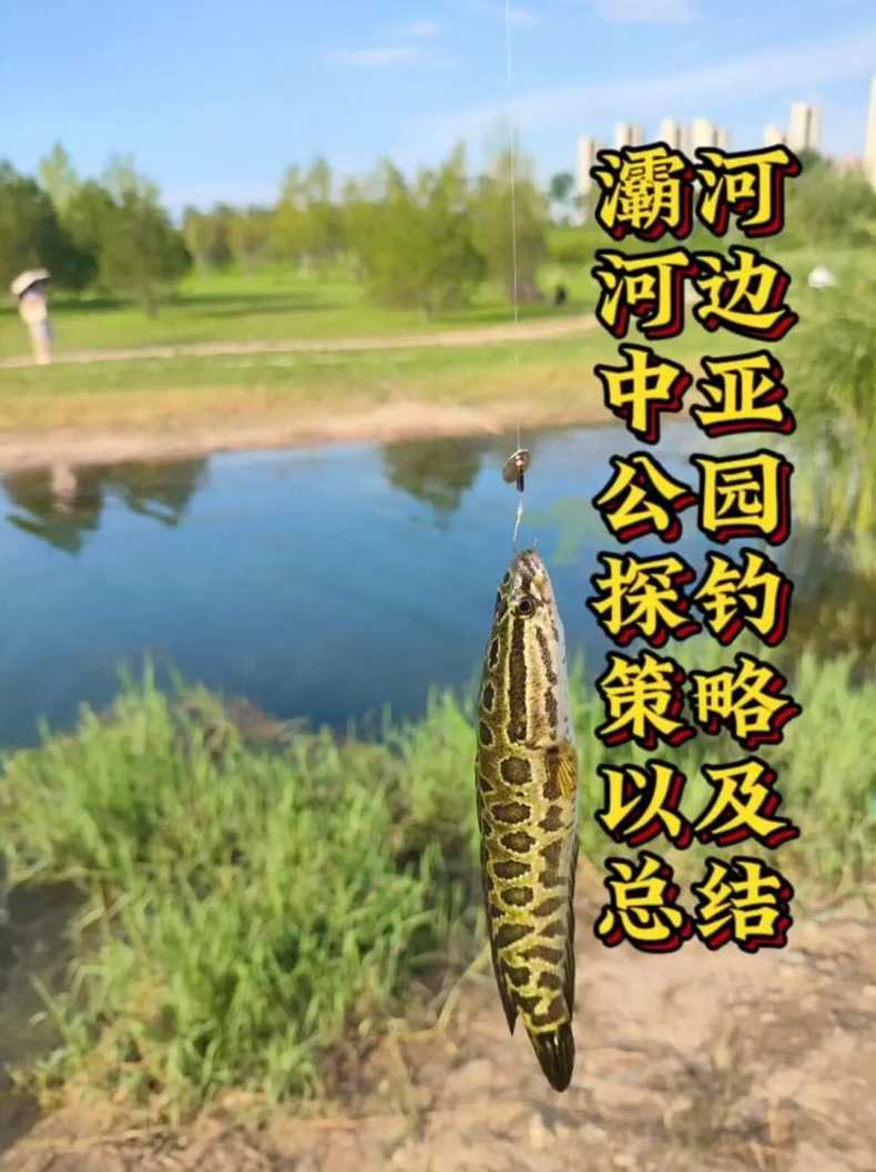 西安钓鱼最多的河流-西安钓鱼最多的河流是哪条：西安钓鱼热门河流