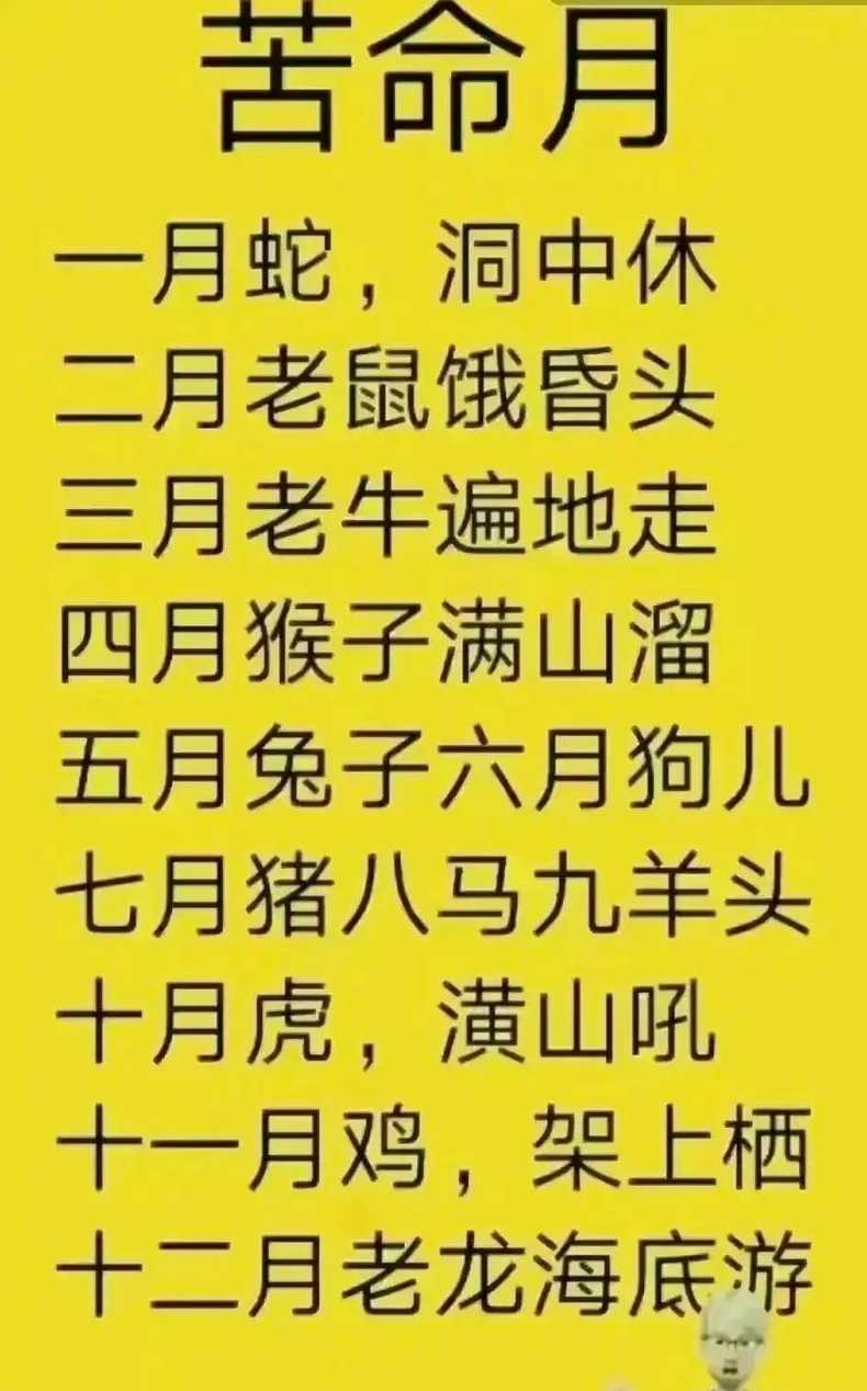 生肖掌握情缘奥秘