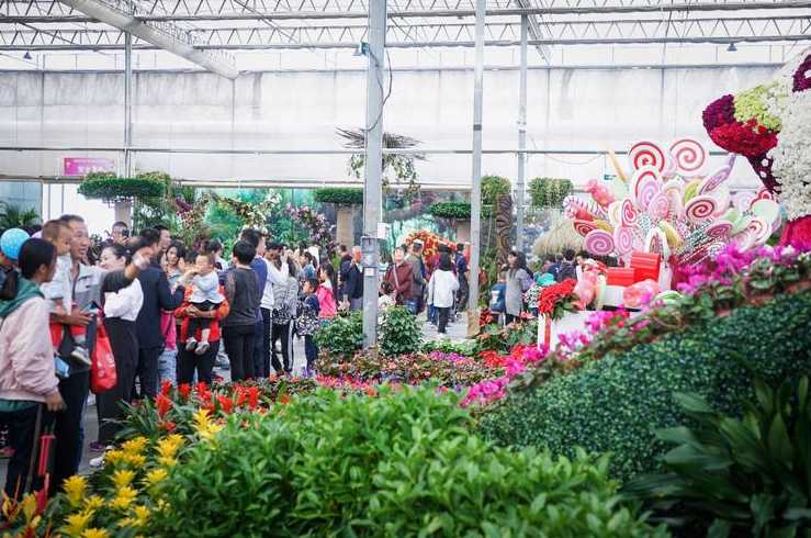 花卉聚齐、花卉团购群：花卉博览会