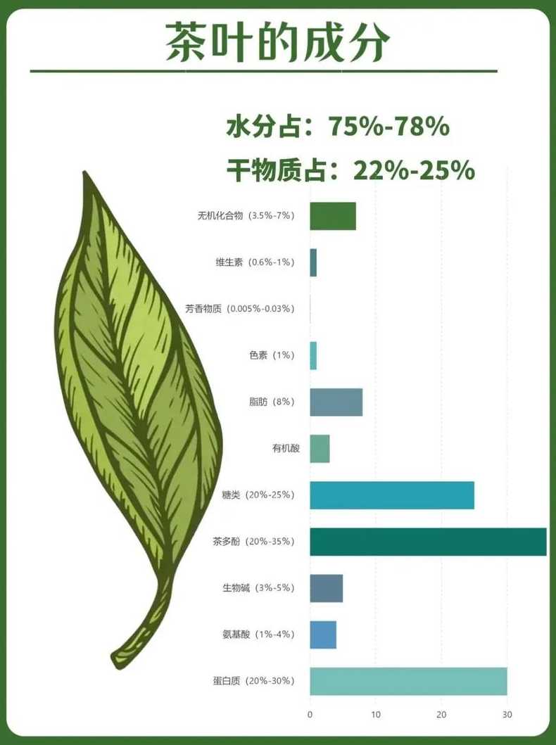 茶叶中维生素含量最高的是什么茶 茶叶维生素之王